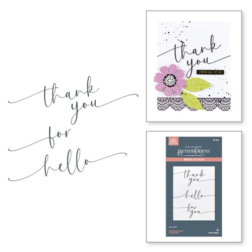 Spellbinders Better Press Plates The Vivid Expressions -Sweeping Script Sentiments - 5A002M91-1GNRC