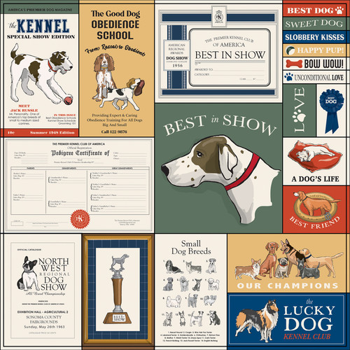 25 Pack - Best In Show Double-Sided Cardstock 12"X12"-Multi Journaling Cards - 5A002945-1GCF3