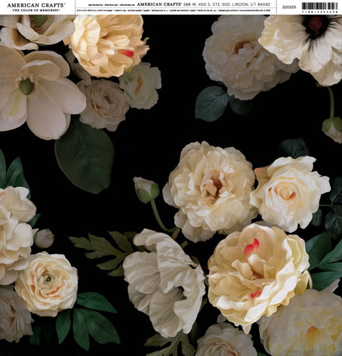 25 Pack - American Crafts Brands Everyday Cardstock 12"X12"-Magnolia Jane 1 - EDPP-20325 - 718813203258