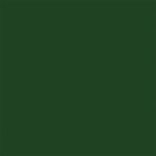 25 Pack - Christmas Joy Double-Sided Cardstock 12"X12"-Dark Green/ Gold - 5A0028Y5-1GC4G