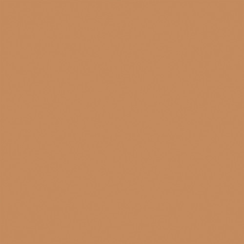 25 Pack - Baking Spirits Bright Double-Sided Cardstock 12"X12"-Dark Green/ Tan - 5A0028ZC-1GC4N