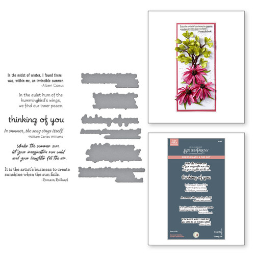 Spellbinders BetterPress Plate & Die Susan Tierney-Cockburn-Summer Solstice Garden Sentiments - 5A0031SY-1H3FZ Spellbinders BetterPress Plate & Die Susan Tierney-Cockburn-Summer Solstice Garden Sentiments - 5A0031SY-1H3FZ