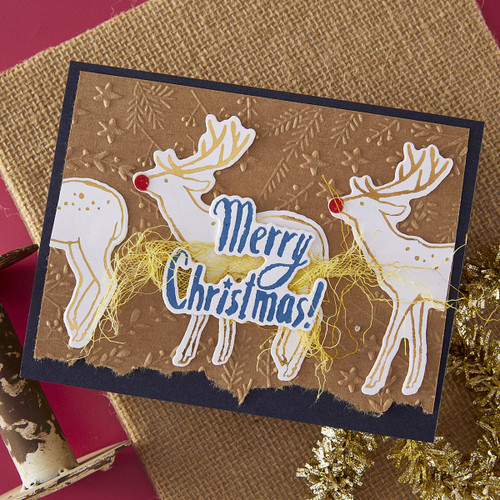 3 Pack - Spellbinders Frame 3D Embossing Folder by Dina Wakley-Star and Fronds - 5A0039BK-1H8H6