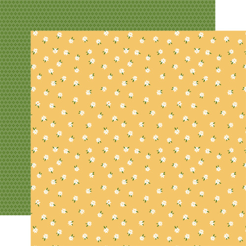 25 Pack - Winnie The Pooh Baby Double-Sided Cardstock 12"X12"-Oh Baby Daisies - 5A002JSX-1GLB6 - 810179814007