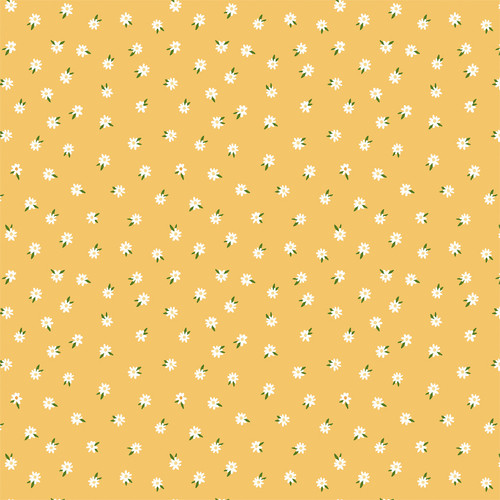 25 Pack - Winnie The Pooh Baby Double-Sided Cardstock 12"X12"-Oh Baby Daisies - 5A002JSX-1GLB6