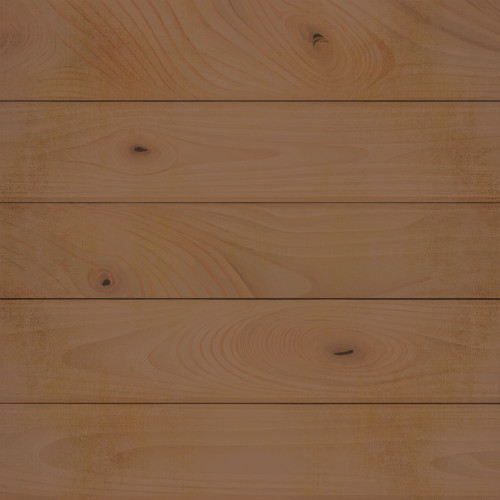 25 Pack - Say Cheese Wild Double-Sided Cardstock 12"X12"-Jungle Memories - 5A0022JN-1G5C7 25 Pack - Say Cheese Wild Double-Sided Cardstock 12"X12"-Jungle Memories - 5A0022JN-1G5C7