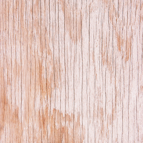 25 Pack - Vintage Woodwork Double-Sided Cardstock 12"X12"-White Ash - 5A002B9V-1GDTB 25 Pack - Vintage Woodwork Double-Sided Cardstock 12"X12"-White Ash - 5A002B9V-1GDTB