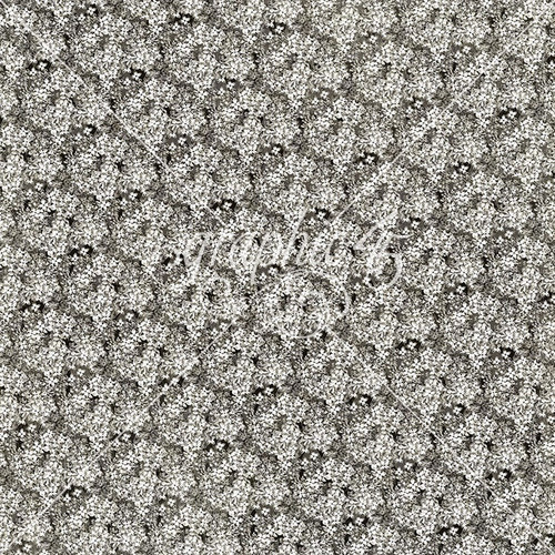 15 Pack - Curiouser & Curiouser Double-Sided Cardstock 12"X12"-Outlandish Odyssey - 5A002HNM-1GK7F 15 Pack - Curiouser & Curiouser Double-Sided Cardstock 12"X12"-Outlandish Odyssey - 5A002HNM-1GK7F