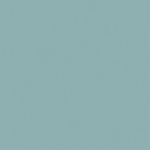 25 Pack - Chickens Double-Sided Cardstock 12"X12"-Red/Blue - 5A0030K9-1H20K 25 Pack - Chickens Double-Sided Cardstock 12"X12"-Red/Blue - 5A0030K9-1H20K