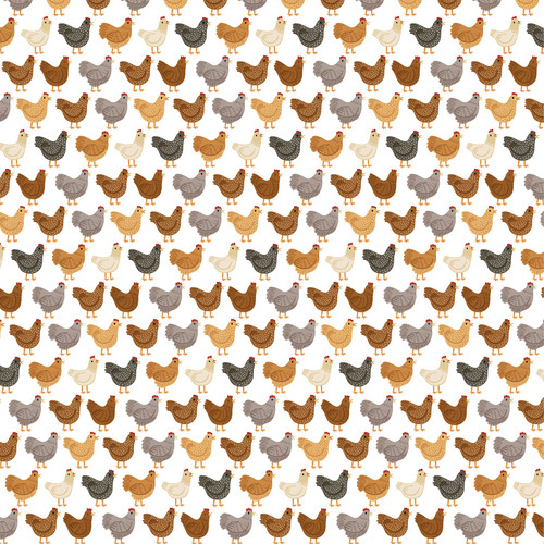 25 Pack - Chickens Double-Sided Cardstock 12"X12"-Cluck Cluck Chickens - 5A0030K9-1H20C