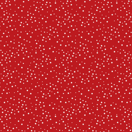 25 Pack - Stars And Stripes Forever Double-Sided Cardstock 12"X12"-Flowers For The Fourth - SSF12-69012 25 Pack - Stars And Stripes Forever Double-Sided Cardstock 12"X12"-Flowers For The Fourth - SSF12-69012