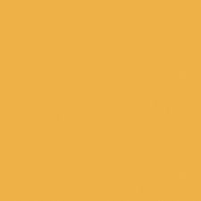 Jacquard Neopaque Acrylic Paint 2.25oz-Gold Yellow - NEOPAQUE-581
