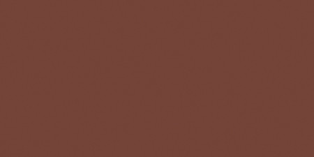 Tombow Dual Brush Marker Open Stock-879 Brown - DBP-56602