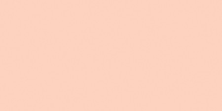 Tombow Dual Brush Marker Open Stock-850 Light Apricot - DBP-56598