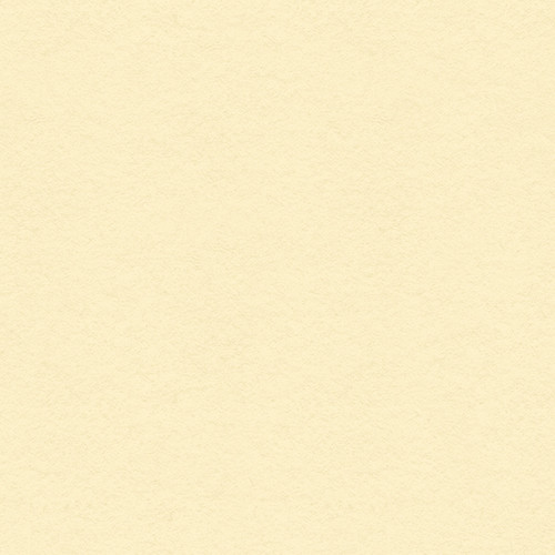 25 Pack - My Colors Classic 80lb Cover Weight Cardstock 12"X12"-Ivory - T48807 - 699464196000