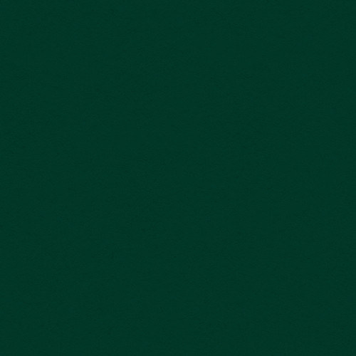 25 Pack - My Colors Classic 80lb Cover Weight Cardstock 12"X12"-Forest Green - T45514 - 699464195966