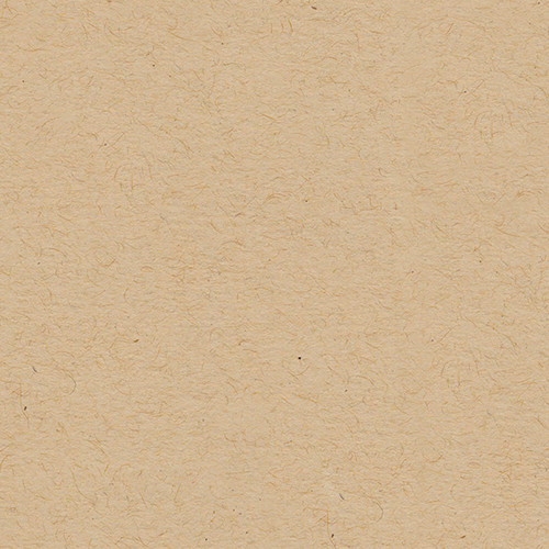 25 Pack - My Colors Classic 80lb Cover Weight Cardstock 12"X12"-Kraft - T49905 - 699464196017