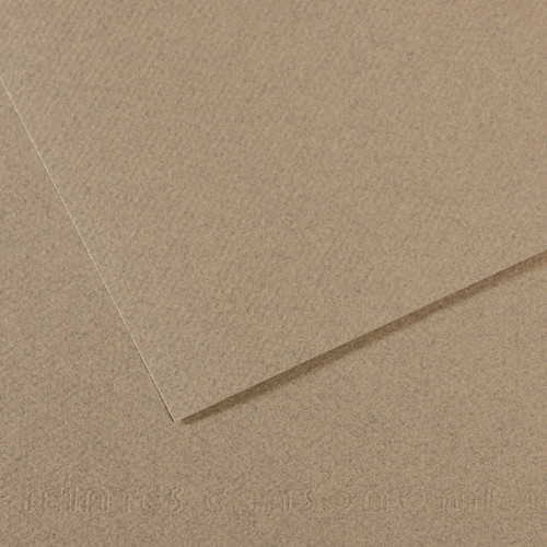 25 Pack - Canson Mi-Teintes Sheet 8.5"X11" 25/Pkg-Felt Gray - 5A0036B0-1H7BB - 3148955736463