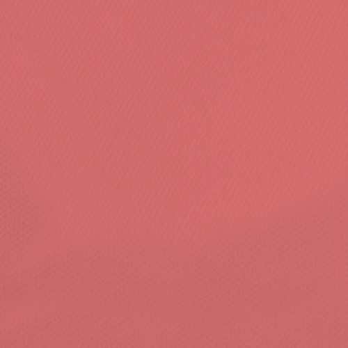 10 Pack - Canson Mi-Teintes Sheet 19.5"X25.5" 10/Pkg-Venitian Pink - 5A00366C-1H7CH - 3148950034557