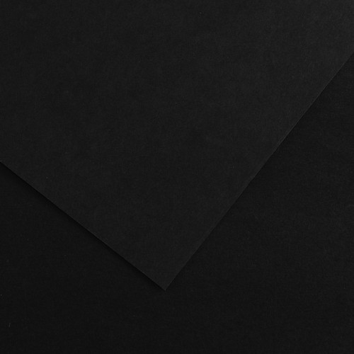 10 Pack - Canson Colorline Sheet 19.5"X25.5"-Black - 5A00367D-1H7DY - 3148954228938