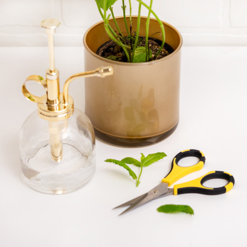 3 Pack - American Crafts Cutter Bee Herb Scissors-Yellow/Black - 55900026