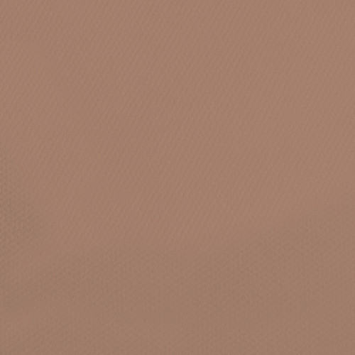 10 Pack - Canson Mi-Teintes Sheet 19.5"X25.5" 10/Pkg-Chestnut Brown - 5A00366C-1H7DT - 3148950034571