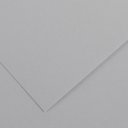 10 Pack - Canson Colorline Sheet 19.5"X25.5" 10/Pkg-Light Grey - 5A00367D-1H7GC - 3148950414113