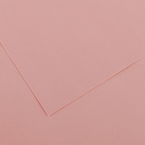 10 Pack - Canson Colorline Sheet 19.5"X25.5"-Rose Petal - 5A00367D-1H7J0 - 3148954228655