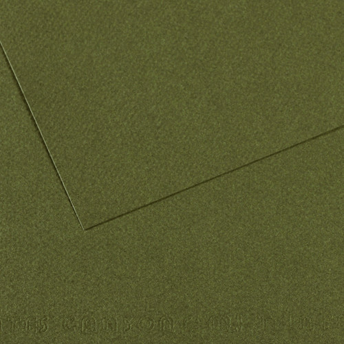 10 Pack - Canson Mi-Teintes Sheet 19"X25" 10/Pkg-Ivy - 5A00366F-1H7HT - 3148955734728