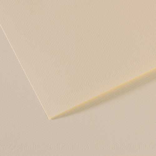 10 Pack - Canson Mi-Teintes Sheet 19"X25" 10/Pkg-Lily - 5A00366F-1H7BC - 3148955733943