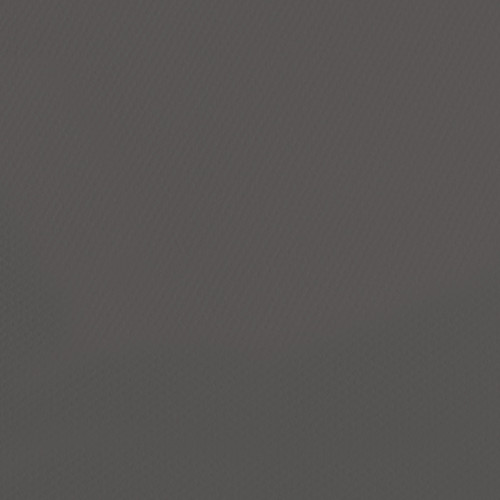 10 Pack - Canson Mi-Teintes Sheet 19.5"X25.5" 10/Pkg-Charcoal Grey - 5A00366C-1H7GJ - 3148950034649