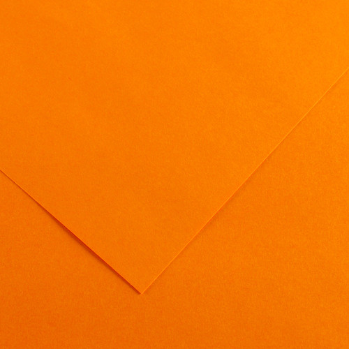 10 Pack - Canson Colorline Sheet 19.5"X25.5" 10/Pkg-Clementine - 5A00367D-1H7G3 - 3148950413840