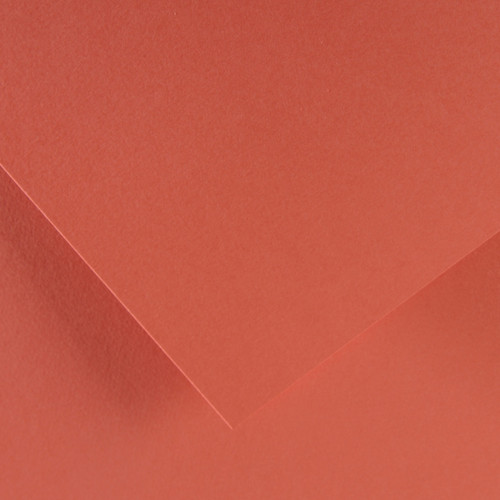 10 Pack - Canson Colorline Sheet 19.5"X25.5"-Coral - 5A00367D-1H7CP - 3148950008862