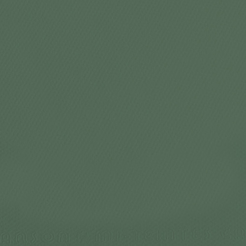10 Pack - Canson Mi-Teintes Sheet 19.5"X25.5"-Sage Green - 5A00366C-1H7H9 - 3148950034663