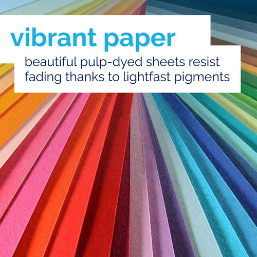 10 Pack - Canson Colorline Sheet 19.5"X25.5"-Ultramarine - 5A00367D-1H7DJ