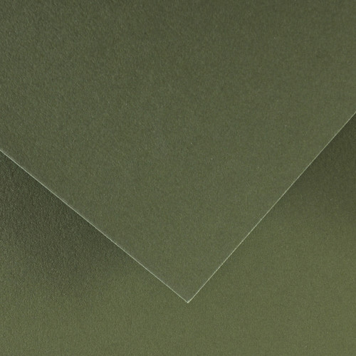 25 Pack - Canson Colorline Sheet 8.5"X11"-Khaki Green - 5A0036C3-1H7F7 - 3148950012241