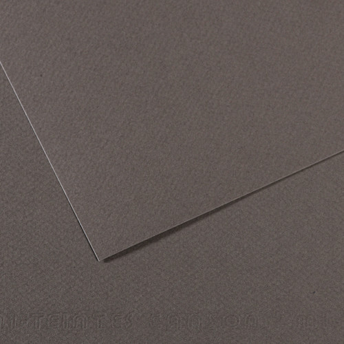 10 Pack - Canson Mi-Teintes Sheet 19"X25" 10/Pkg-Dark Gray - 5A00366F-1H7HX - 3148955734360