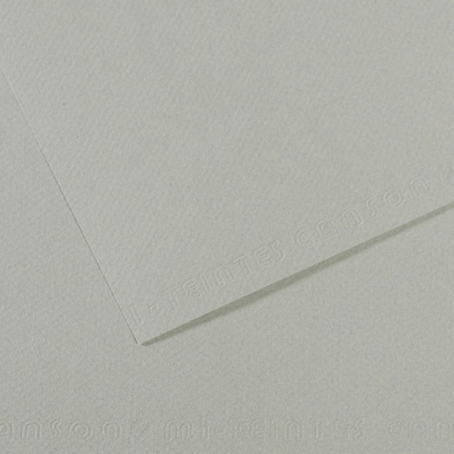 25 Pack - Canson Mi-Teintes Sheet 8.5"X11" 25/Pkg-Sky Grey - 5A0036B0-1H7DM - 3148955736258