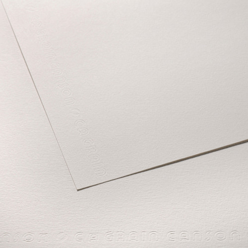 10 Pack - Canson Artist Series C Grain Drawing Sheet 224G 19.5"X25.5"-10 Sheets - 5A003691-1H7FL - 3148955731116