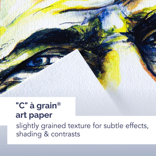10 Pack - Canson Artist Series C Grain Drawing Sheet 224G 19.5"X25.5"-Sheet - 5A003691-1H7FL