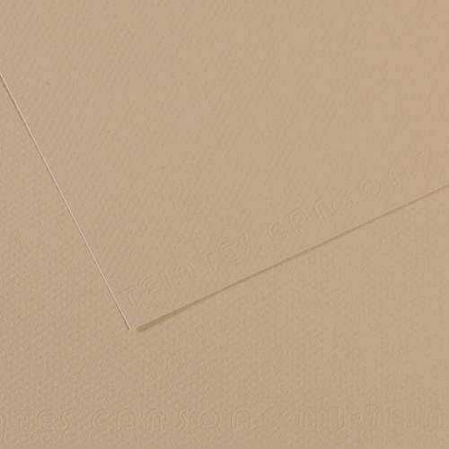 25 Pack - Canson Mi-Teintes Sheet 8.5"X11"-Pearl - 5A0036B0-1H7BW - 3148955736135