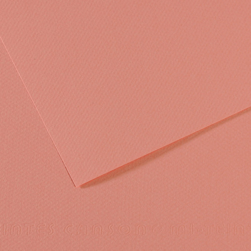 10 Pack - Canson Mi-Teintes Sheet 19"X25" 10/Pkg-Orchid - 5A00366F-1H7C1 - 3148955734421
