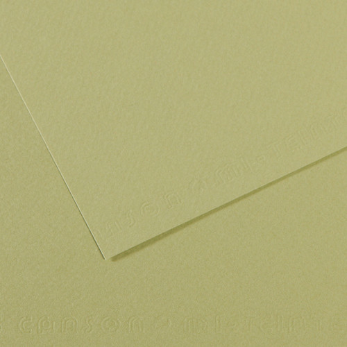 10 Pack - Canson Mi-Teintes Sheet 19"X25" 10/Pkg-Light Green - 5A00366F-1H7D7 - 3148955734841