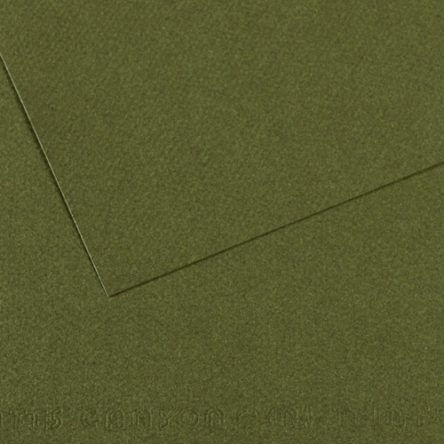 25 Pack - Canson Mi-Teintes Sheet 8.5"X11" 25/Pkg-Ivy - 5A0036B0-1H7J8 - 3148955736524