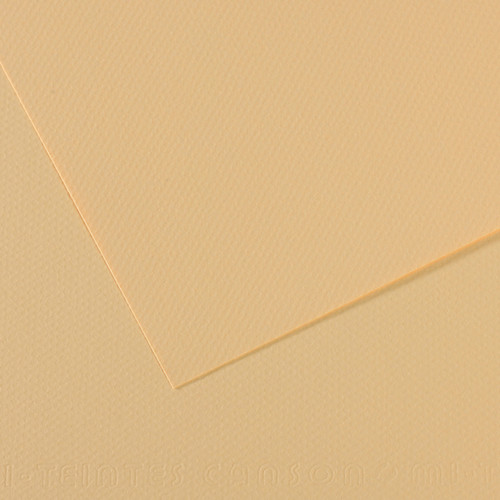 25 Pack - Canson Mi-Teintes Sheet 8.5"X11" 25/Pkg-Cream - 5A0036B0-1H7J7 - 3148955736371