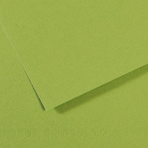 10 Pack - Canson Mi-Teintes Sheet 19"X25" 10/Pkg-Apple Green - 5A00366F-1H7GH - 3148955734810