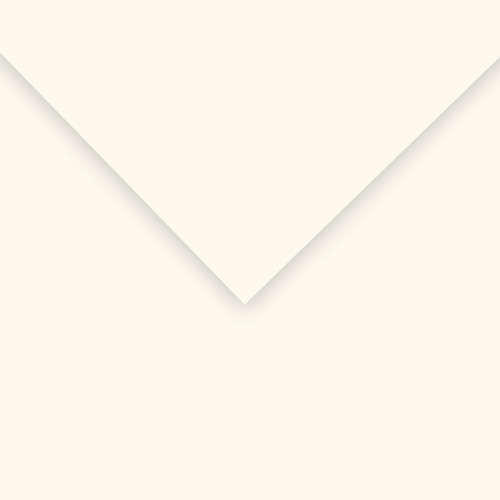 10 Pack - Canson Colorline Sheet 19.5"X25.5"-Pearl White - 5A00367D-1H7D6 - 3148950008619