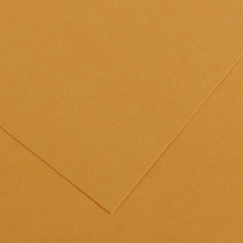 25 Pack - Canson Colorline Sheet 8.5"X11"-Leather - 5A0036C3-1H7HS - 3148950012265