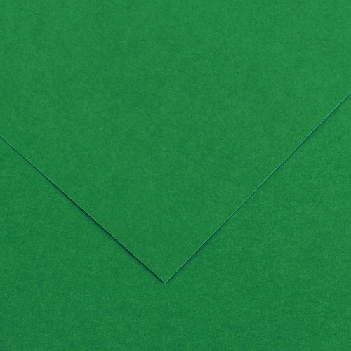 25 Pack - Canson Colorline Sheet 8.5"X11" 25/Pkg-Moss Green - 5A0036C3-1H7BN - 3148950012197