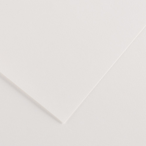 10 Pack - Canson Colorline Sheet 19.5"X25.5" 10/Pkg-White - 5A00367D-1H7B2 - 3148950413772